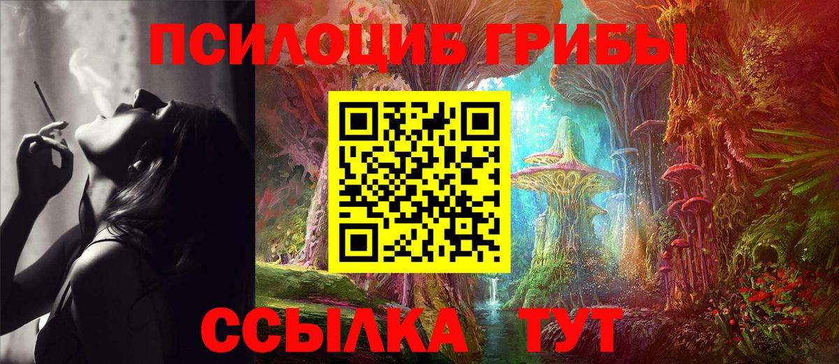дарнет шоп  Галлюциногенные грибы MAGIC MUSHROOMS  Псилоцибиновые грибы MAGIC MUSHROOMS  Вход с VPN  Выкса 